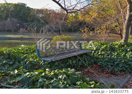 秋の公園とベンチ 141633775