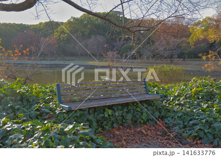 秋の公園とベンチ 秋の公園とベンチ 141633776
