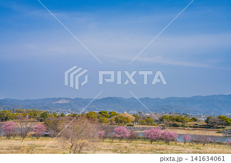 豊川市の日本列島公園と街並み(愛知県) 豊川市の日本列島公園と街並み(愛知県) 141634061