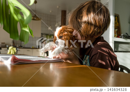 Boy reading book with his pet dog Cavalier King Charles Spaniel, Reading education, school preparation, back to school Boy reading book with his pet dog Cavalier King Charles Spaniel, Reading education, school preparation, back to school 141634328