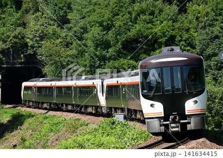 坂祝カーブを行くHC85 特急ひだ3号 坂祝カーブを行くHC85 特急ひだ3号 141634415