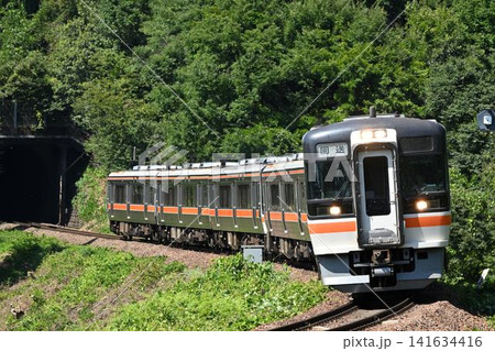 坂祝カーブを行く回送列車 キハ75系気動車 6両編成 坂祝カーブを行く回送列車 キハ75系気動車 6両編成 141634416