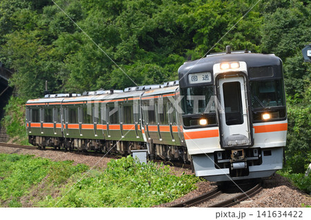 坂祝カーブを行く回送列車 キハ75系気動車 6両編成 坂祝カーブを行く回送列車 キハ75系気動車 6両編成 141634422