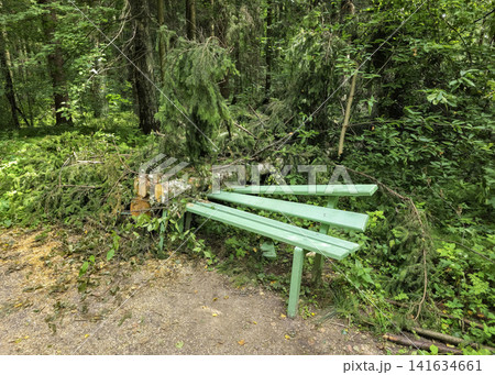 Green wooden park bench smashed by a fallen tree after a severe storm in the forest. 141634661