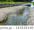 石の河原を蛇行して流れる浅い川 石の河原を蛇行して流れる浅い川 141636140