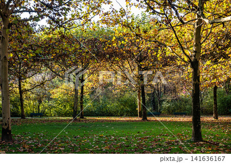 Walking in Hofgarten Park in Munich on an autumn day, Germany 141636167