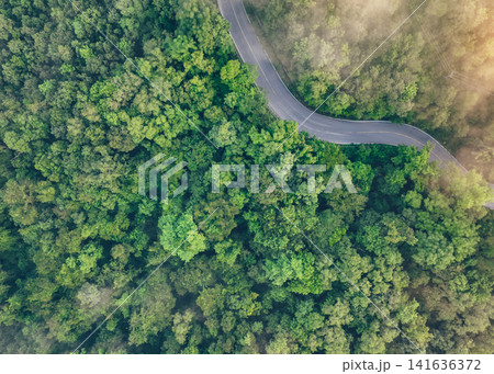 Aerial top view of green forest and highway road. Drone view of green trees and morning fog. Green trees background for carbon neutrality and net zero emissions concept. Sustainable green environment. 141636372