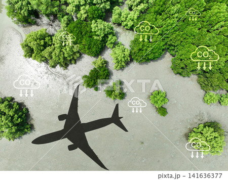 Shadow airplane flying above mangrove forest. Sustainable fuel. Biofuel in aviation. Sustainable transportation and eco-friendly flight with biofuel use. Aviation sustainability. Mangroves capture CO2 Shadow airplane flying above mangrove forest. Sustainable fuel. Biofuel in aviation. Sustainable transportation and eco-friendly flight with biofuel use. Aviation sustainability. Mangroves capture CO2 141636377