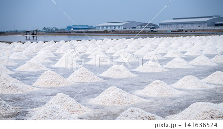 Landscape sea salt farm in Thailand. Brine salt. Raw material of salt industrial. Sodium Chloride. Evaporation and crystallization of sea water. Salt harvesting. Agriculture industry. Traditional farm Landscape sea salt farm in Thailand. Brine salt. Raw material of salt industrial. Sodium Chloride. Evaporation and crystallization of sea water. Salt harvesting. Agriculture industry. Traditional farm 141636524