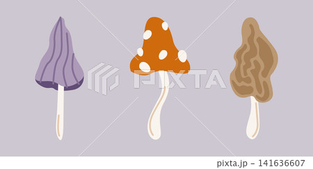 Hand-drawn decorative poisonous mushrooms illustrations set, toadstool, fly agaric and morel for seasonal decor, packaging Hand-drawn decorative poisonous mushrooms illustrations set, toadstool, fly agaric and morel for seasonal decor, packaging 141636607