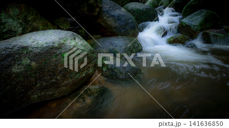 Waterfall is flowing in jungle. Waterfall in green forest. Mountain waterfall. Cascading stream in lush forest. Nature background. Rock or stone at waterfall. Water sustainability. Water conservation. Waterfall is flowing in jungle. Waterfall in green forest. Mountain waterfall. Cascading stream in lush forest. Nature background. Rock or stone at waterfall. Water sustainability. Water conservation. 141636850