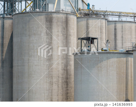 Animal feed factory. Agricultural silos, grain storage silos. Agriculture industry. Rural agribusiness. Grain storage innovation. Agricultural silos at animal feed factory. Sustainable farming. Animal feed factory. Agricultural silos, grain storage silos. Agriculture industry. Rural agribusiness. Grain storage innovation. Agricultural silos at animal feed factory. Sustainable farming. 141636993