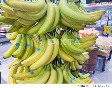 Bunches of fresh yellow bananas hanging on a display rack in a grocery store produce section - 07.05.2026, Auburn WA, USA. Bunches of fresh yellow bananas hanging on a display rack in a grocery store produce section - 07.05.2026, Auburn WA, USA. 141637235