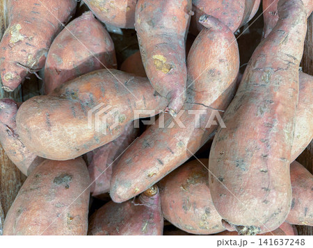 A close-up view of fresh sweet potatoes piled in a grocery store display bin. A close-up view of fresh sweet potatoes piled in a grocery store display bin. 141637248
