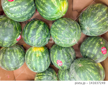 A high-angle view of whole green watermelons piled in a cardboard display bin. A high-angle view of whole green watermelons piled in a cardboard display bin. 141637249