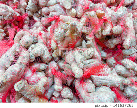 Fresh ginger roots packed in red mesh bags at a market 141637263