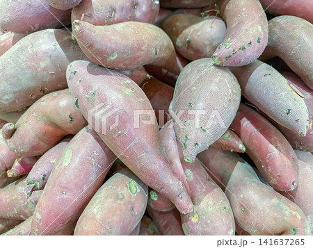 Pile of fresh red-skinned sweet potatoes on display at a grocery store 141637265