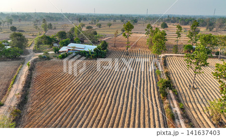 Cultivated farmland with geometric soil furrows, rural farmhouse, and tree lined fields across a countryside landscape. Sustainable agriculture and crop production. Sustainable land use practice. 141637403