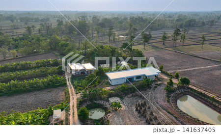 Farmhouse surrounded by cultivated farmland, irrigation ponds, banana plantations, and productive crop fields. Sustainable agriculture and self sufficient living. Modern farming and land management. Farmhouse surrounded by cultivated farmland, irrigation ponds, banana plantations, and productive crop fields. Sustainable agriculture and self sufficient living. Modern farming and land management. 141637405