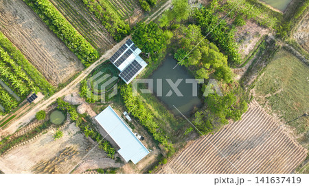 Integrated renewable energy and agriculture concept showing solar powered farm, organic vegetable cultivation, water management pond and productive tropical farmland. Sustainability, food security. Integrated renewable energy and agriculture concept showing solar powered farm, organic vegetable cultivation, water management pond and productive tropical farmland. Sustainability, food security. 141637419
