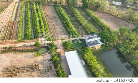An integrated farming landscape with solar energy, irrigation reservoirs, banana orchards, cultivated fields, and regenerative agricultural practices. Sustainable rural development and biodiversity. 141637420