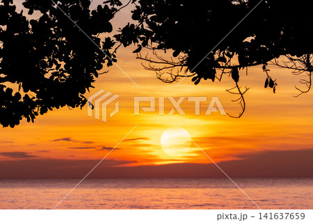 Golden tropical sunset framed by silhouetted tree branches overlooking the calm ocean. Peaceful coastal landscape, scenic summer travel destination and tranquil nature background. Peaceful island. Golden tropical sunset framed by silhouetted tree branches overlooking the calm ocean. Peaceful coastal landscape, scenic summer travel destination and tranquil nature background. Peaceful island. 141637659