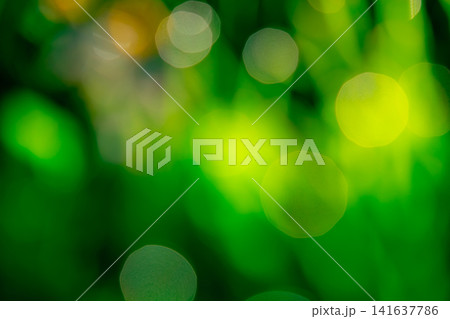Natural green bokeh background with soft sunlight and blurred leaves, abstract outdoor texture for sustainability campaigns, environmental themes, wellness and modern graphic design. Natural green bokeh background with soft sunlight and blurred leaves, abstract outdoor texture for sustainability campaigns, environmental themes, wellness and modern graphic design. 141637786