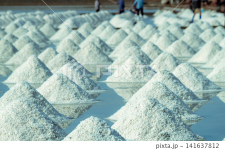 Sea salt piles in traditional salt farm with workers harvesting natural sea salt through solar evaporation for sustainable sodium chloride production. Mineral industry and sustainable agriculture. Sea salt piles in traditional salt farm with workers harvesting natural sea salt through solar evaporation for sustainable sodium chloride production. Mineral industry and sustainable agriculture. 141637812