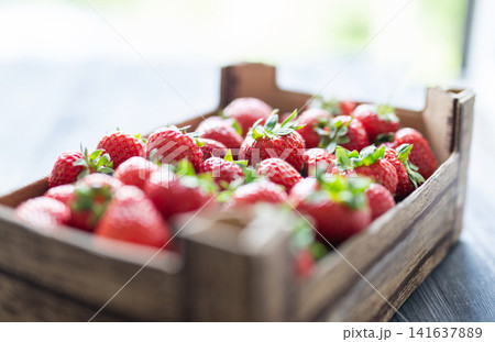 Crate Filled With Ripe Strawberries 141637889