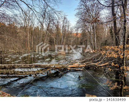 Wurm river in Bavaria, Germany with fallen trees and bare forest in late autumn, clear flowing water in natural woodland landscape near Munich Wurm river in Bavaria, Germany with fallen trees and bare forest in late autumn, clear flowing water in natural woodland landscape near Munich 141638499