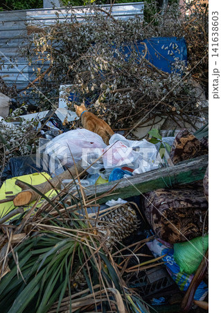 Mixed trash and debris on street - illegal waste disposal and environmental issue. Illegal dumping of household waste and furniture - urban pollution and environmental problem 141638603