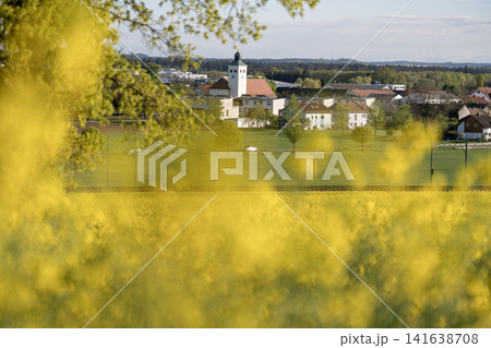 Vibrant Yellow Rapeseed Field With Gilching Village Church In Background - Bavarian Countryside Spring Landscape, Blooming Canola, Rural Bavaria Germany, Soft Bokeh 141638708
