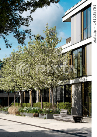 Modern Gilching Town Hall Rathaus - Contemporary Green Architecture - Spring Blossoms And Integrated Ivy Walls Bavaria Germany 141638761