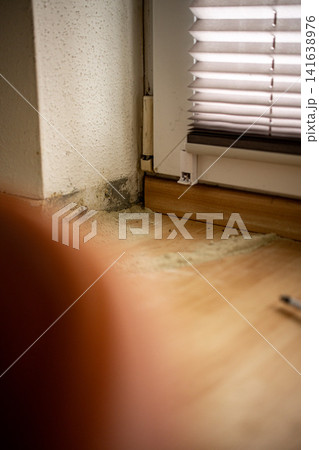 Ant Infestation Along Floor Edge: Home Interior Damage And Pest Contamination Near Wall 141638976