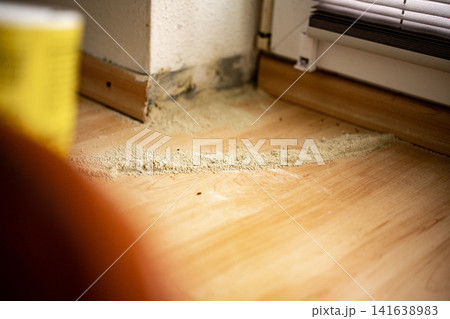 Ant Infestation Along Floor Edge: Home Interior Damage And Pest Contamination Near Wall Ant Infestation Along Floor Edge: Home Interior Damage And Pest Contamination Near Wall 141638983