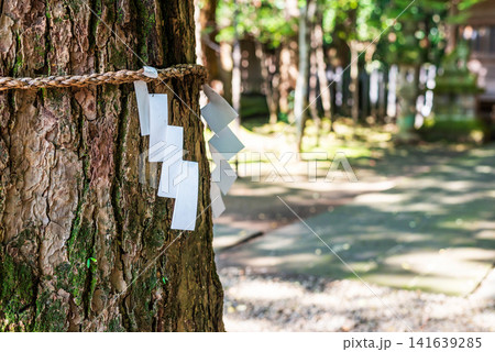 宇都宮二荒山神社 宇都宮二荒山神社 141639285