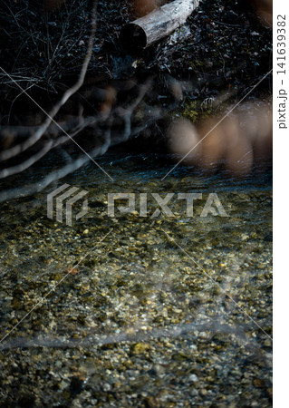 Clear Water Of Amper River Near Munich: Pebbled Riverbed Visible Through Flowing Freshwater In Bavaria Clear Water Of Amper River Near Munich: Pebbled Riverbed Visible Through Flowing Freshwater In Bavaria 141639382