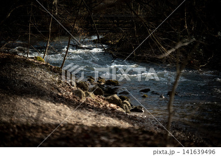 Flowing Amper River Through Forest Near Emmering: Natural Riverside Landscape Between Olching And Fuerstenfeldbruck Near Munich Flowing Amper River Through Forest Near Emmering: Natural Riverside Landscape Between Olching And Fuerstenfeldbruck Near Munich 141639496