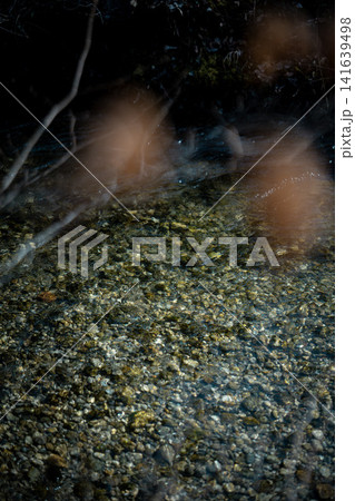 Clear Water Of Amper River Near Munich: Pebbled Riverbed Visible Through Flowing Freshwater In Bavaria Clear Water Of Amper River Near Munich: Pebbled Riverbed Visible Through Flowing Freshwater In Bavaria 141639498