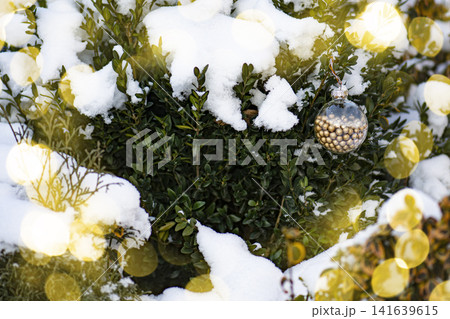 Outdoor christmas ornament with pink glitter finish and snow dusting hanging on conifer branch against pale blue sky background. Outdoor christmas ornament with pink glitter finish and snow dusting hanging on conifer branch against pale blue sky background. 141639615
