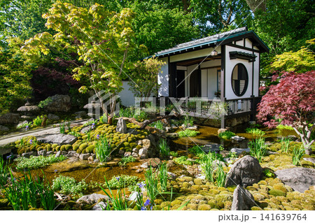 Panorama of Japanese garden in clude small   pavilion  in Japane 141639764