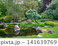 Beautiful Kyoto Garden in Holland Park in London: Pond and Himalayan pines (Pinus wallichiana) and Egyptian geese, 141639769