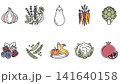 vegetable set of vegetables 141640158