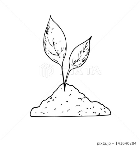 Vector plant sprouts growing in soil. Ecology nature environment growth and gardening concept illustration isolated on background. Agriculture, organic gardening, planting or ecology. Environmental, e 141640284