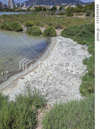 Dried mud shoreline next to a salt lagoon with green plants and distant town buildings Dried mud shoreline next to a salt lagoon with green plants and distant town buildings 141640449