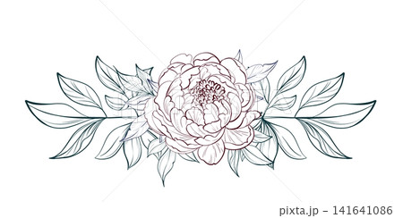 Floral divider with peonies and leaves. Romantic ornament for design and decor 141641086