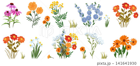 A large collection of garden and wildflowers: echinacea, marigolds, tansy, chicory, zinnias, daisies, phlox, and calendula. The set is complemented by grass, leaves, buds, and a large festive bouquet A large collection of garden and wildflowers: echinacea, marigolds, tansy, chicory, zinnias, daisies, phlox, and calendula. The set is complemented by grass, leaves, buds, and a large festive bouquet 141641930