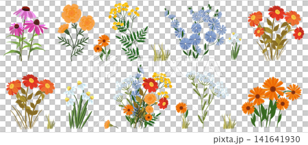 A large collection of garden and wildflowers: echinacea, marigolds, tansy, chicory, zinnias, daisies, phlox, and calendula. The set is complemented by grass, leaves, buds, and a large festive bouquet A large collection of garden and wildflowers: echinacea, marigolds, tansy, chicory, zinnias, daisies, phlox, and calendula. The set is complemented by grass, leaves, buds, and a large festive bouquet 141641930