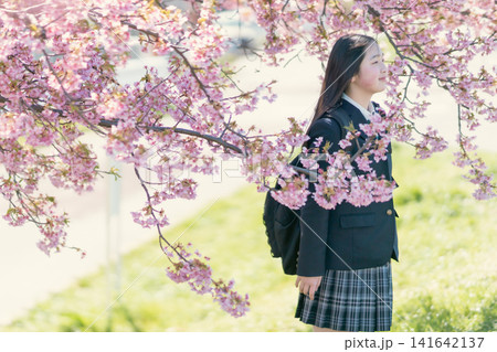 満開の桜並木を背景に佇む制服姿の女子中高生(新学期・入学・卒業・春イメージ) 満開の桜並木を背景に佇む制服姿の女子中高生(新学期・入学・卒業・春イメージ) 141642137