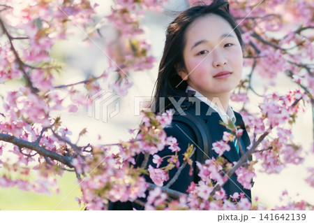 満開の桜並木を背景に佇む制服姿の女子中高生（新学期・入学・卒業・春イメージ） 141642139